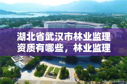 湖北省武汉市林业监理资质有哪些，林业监理公司资质有哪些