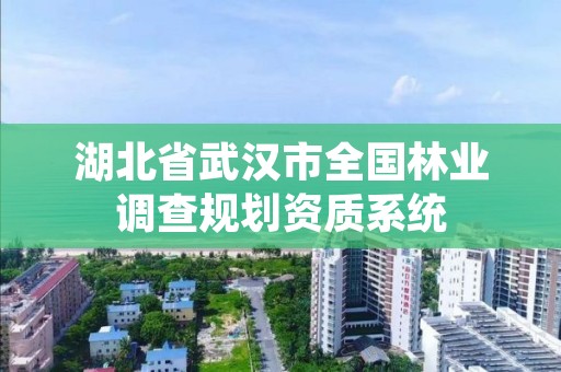 湖北省武汉市全国林业调查规划资质系统