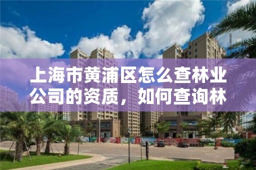 上海市黄浦区怎么查林业公司的资质,如何查询林业证