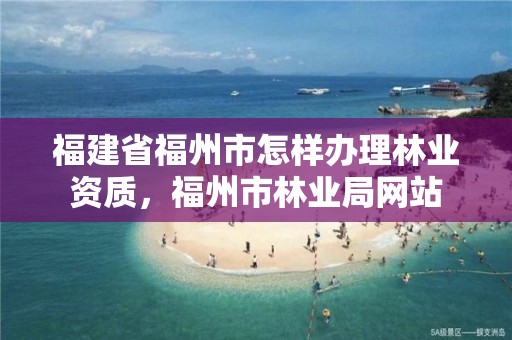 福建省福州市怎样办理林业资质,福州市林业局网站