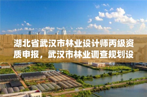 湖北省武汉市林业设计师丙级资质申报，武汉市林业调查规划设计院招聘