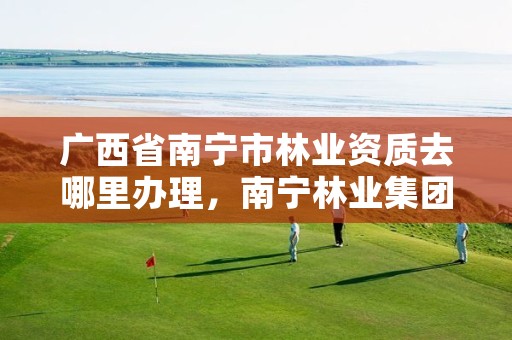 广西省南宁市林业资质去哪里办理,南宁林业集团地址