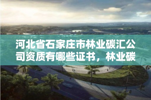 河北省石家庄市林业碳汇公司资质有哪些证书，林业碳汇咨询公司