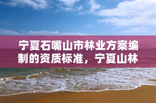 宁夏石嘴山市林业方案编制的资质标准，宁夏山林权改革