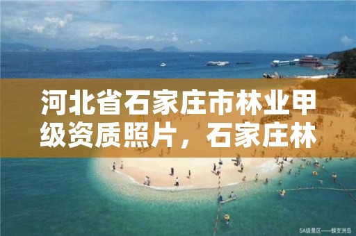 河北省石家庄市林业甲级资质照片，石家庄林业厅