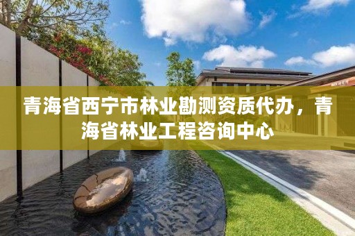青海省西宁市林业勘测资质代办,青海省林业工程咨询中心