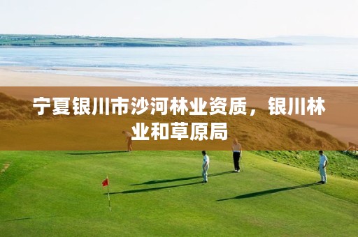 宁夏银川市沙河林业资质,银川林业和草原局