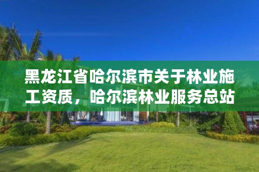 黑龙江省哈尔滨市关于林业施工资质,哈尔滨林业服务总站