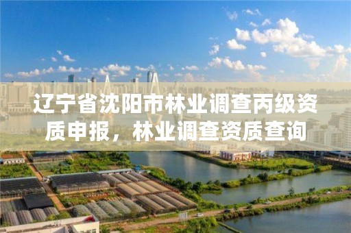 辽宁省沈阳市林业调查丙级资质申报,林业调查资质查询