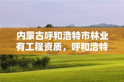 内蒙古呼和浩特市林业有工程资质,呼和浩特林业厅在哪