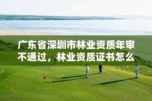 广东省深圳市林业资质年审不通过,林业资质证书怎么办理?