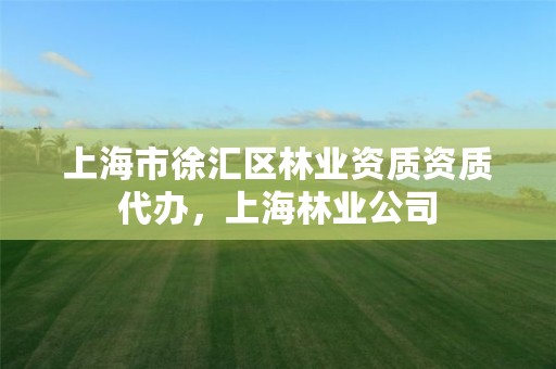 上海市徐汇区林业资质资质代办,上海林业公司