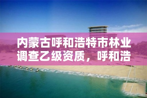 内蒙古呼和浩特市林业调查乙级资质,呼和浩特林业局