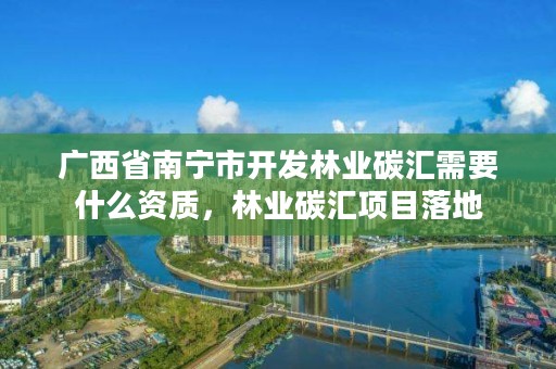 广西省南宁市开发林业碳汇需要什么资质,林业碳汇项目落地