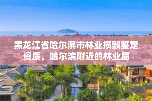 黑龙江省哈尔滨市林业损毁鉴定资质,哈尔滨附近的林业局