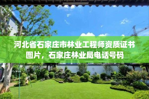 河北省石家庄市林业工程师资质证书图片，石家庄林业局电话号码