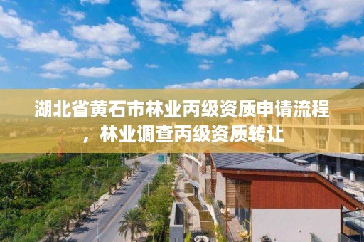 湖北省黄石市林业丙级资质申请流程,林业调查丙级资质转让