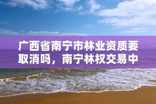 广西省南宁市林业资质要取消吗,南宁林权交易中心