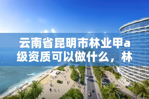 云南省昆明市林业甲a级资质可以做什么,林业防治甲级资质证书