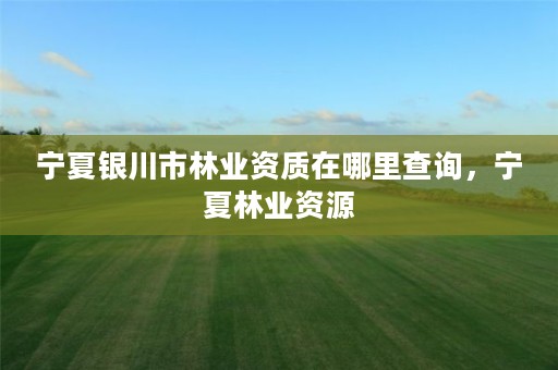 宁夏银川市林业资质在哪里查询,宁夏林业资源