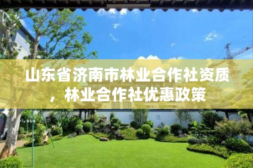 山东省济南市林业合作社资质,林业合作社优惠政策