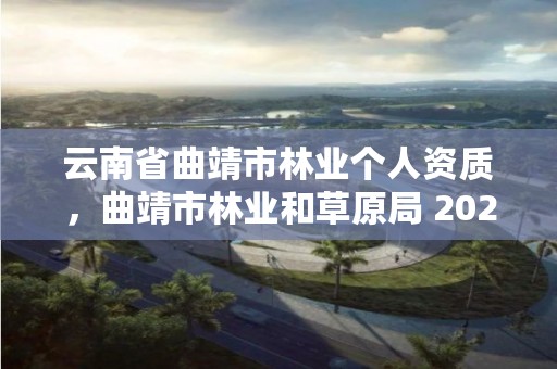 云南省曲靖市林业个人资质,曲靖市林业和草原局 2020年招聘人员岗位表