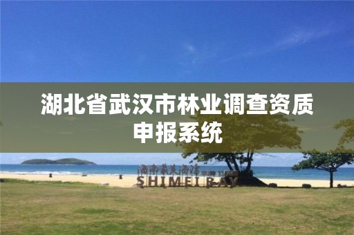 湖北省武汉市林业调查资质申报系统