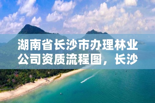 湖南省长沙市办理林业公司资质流程图,长沙林业局的具体地址