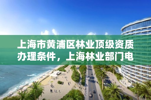 上海市黄浦区林业顶级资质办理条件,上海林业部门电话