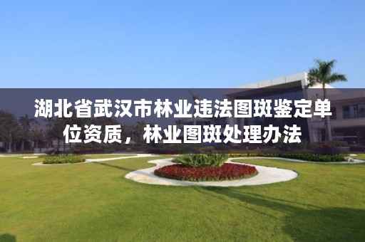 湖北省武汉市林业违法图斑鉴定单位资质，林业图斑处理办法