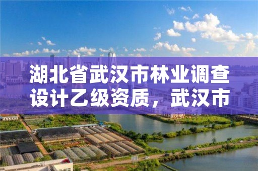 湖北省武汉市林业调查设计乙级资质，武汉市林业勘察设计院