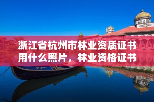 浙江省杭州市林业资质证书用什么照片,林业资格证书