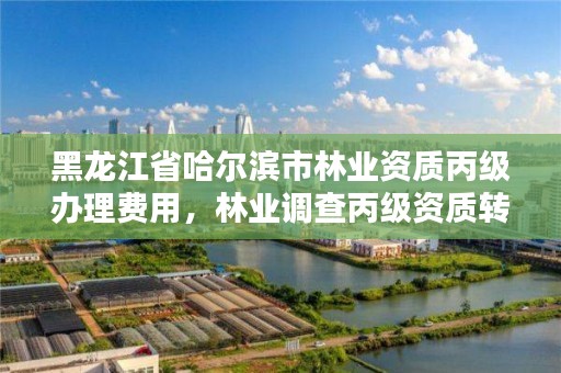 黑龙江省哈尔滨市林业资质丙级办理费用,林业调查丙级资质转让