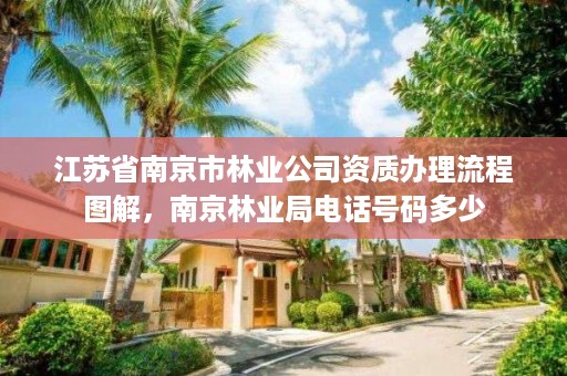 江苏省南京市林业公司资质办理流程图解，南京林业局电话号码多少