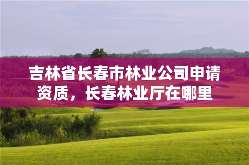 吉林省长春市林业公司申请资质,长春林业厅在哪里