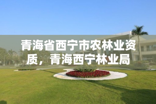 青海省西宁市农林业资质,青海西宁林业局