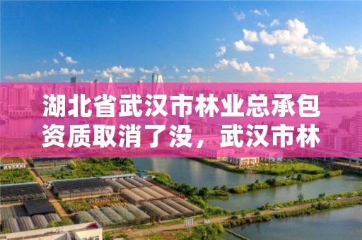湖北省武汉市林业总承包资质取消了没，武汉市林业集团有限公司