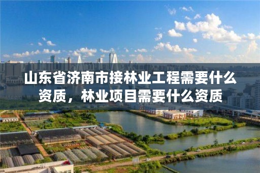 山东省济南市接林业工程需要什么资质,林业项目需要什么资质