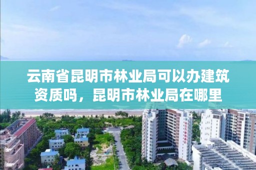 云南省昆明市林业局可以办建筑资质吗,昆明市林业局在哪里