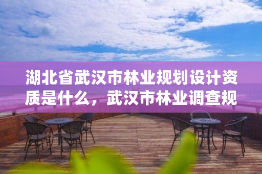 湖北省武汉市林业规划设计资质是什么，武汉市林业调查规划设计有限公司
