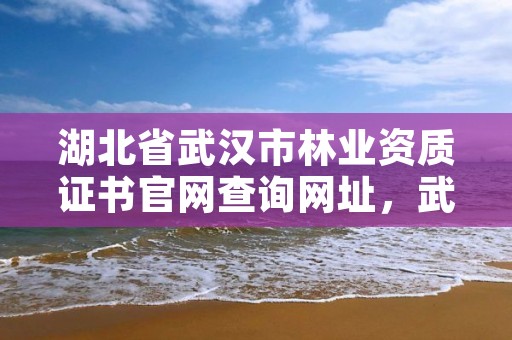 湖北省武汉市林业资质证书官网查询网址，武汉市林业集团有限公司