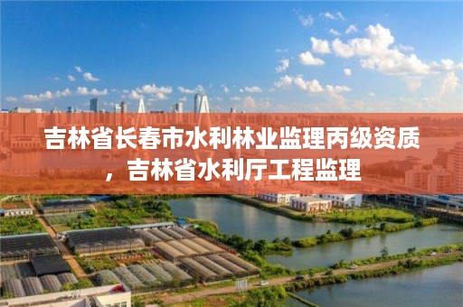 吉林省长春市水利林业监理丙级资质,吉林省水利厅工程监理
