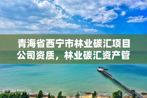 青海省西宁市林业碳汇项目公司资质,林业碳汇资产管理公司
