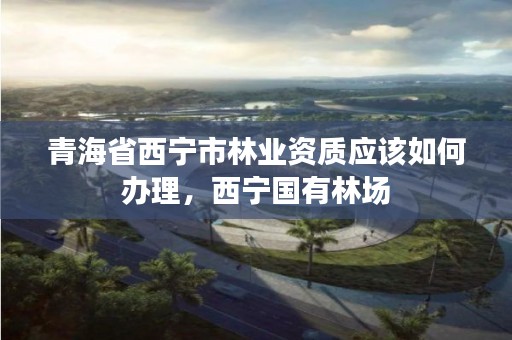青海省西宁市林业资质应该如何办理,西宁国有林场