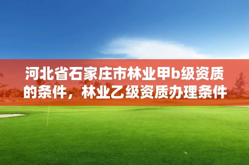 河北省石家庄市林业甲b级资质的条件，林业乙级资质办理条件