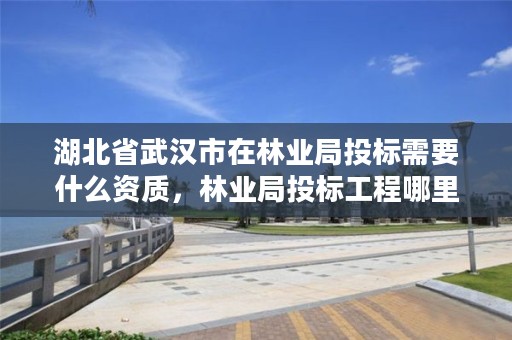 湖北省武汉市在林业局投标需要什么资质，林业局投标工程哪里决定中标