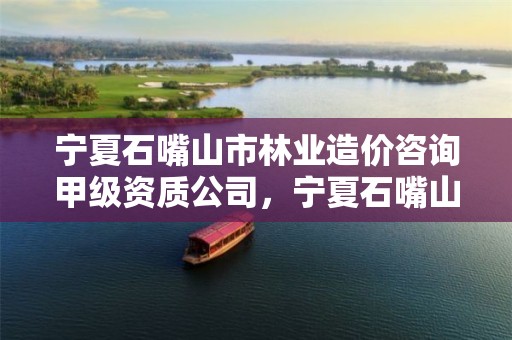 宁夏石嘴山市林业造价咨询甲级资质公司，宁夏石嘴山市林业造价咨询甲级资质公司名单