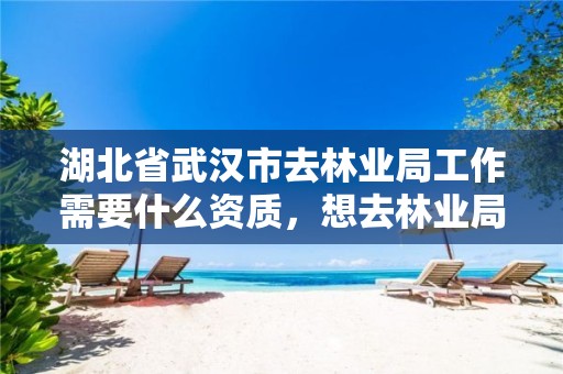 湖北省武汉市去林业局工作需要什么资质，想去林业局工作需读什么学校