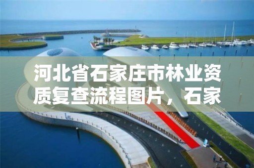 河北省石家庄市林业资质复查流程图片，石家庄林业局举报电话