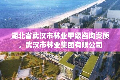 湖北省武汉市林业甲级咨询资质，武汉市林业集团有限公司